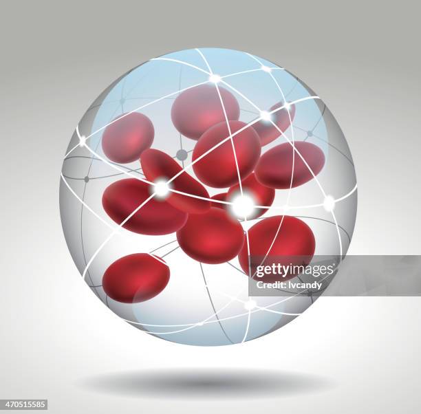 918 White And Red Blood Cells Stock Photos, High Biology Diagrams