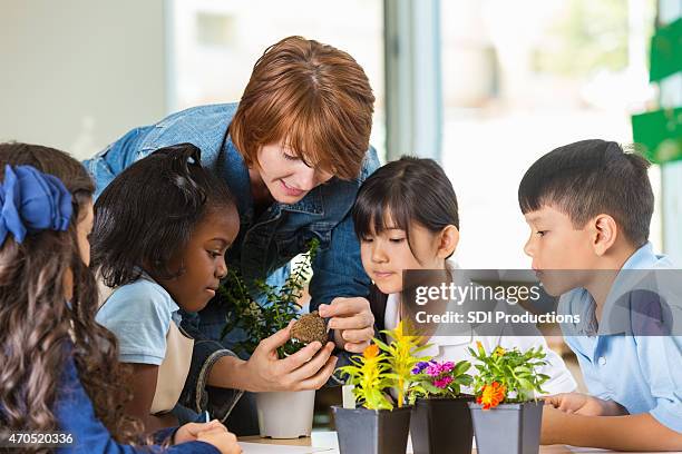 teacher using plants to teach science class in private school - private school uniform stock pictures, royalty-free photos & images