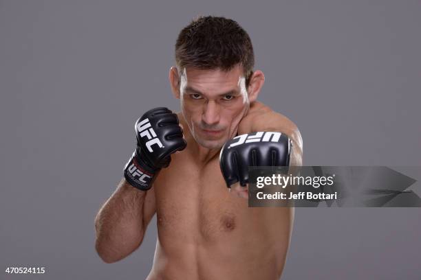 Demian Maia poses for a portrait during a UFC photo session on February 19, 2014 in Las Vegas, Nevada.