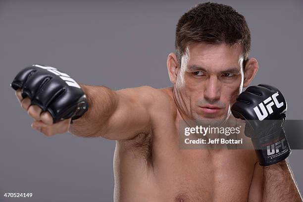 Demian Maia poses for a portrait during a UFC photo session on February 19, 2014 in Las Vegas, Nevada.