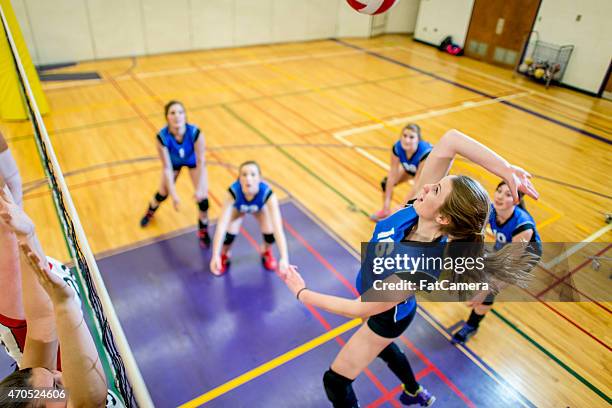 mid-air volleyball spike - spike stock pictures, royalty-free photos & images