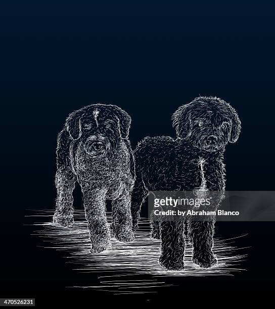 two dogs - blanco color stock-grafiken, -clipart, -cartoons und -symbole
