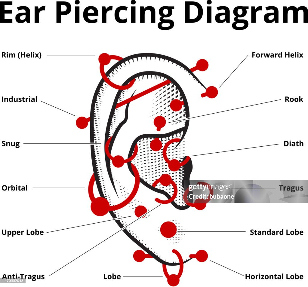 Ear Piercing Style Diagram