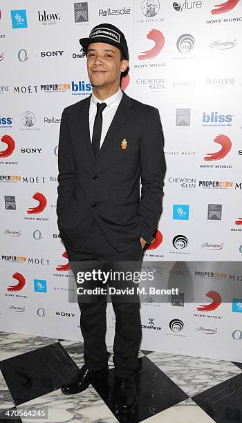 Raleigh Ritchie attends The BRIT Awards 2014 Sony after party on February 19, 2014 in London, England.