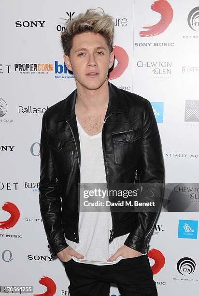 Niall Horan attends The BRIT Awards 2014 Sony after party on February 19, 2014 in London, England.