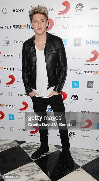 Niall Horan attends The BRIT Awards 2014 Sony after party on February 19, 2014 in London, England.