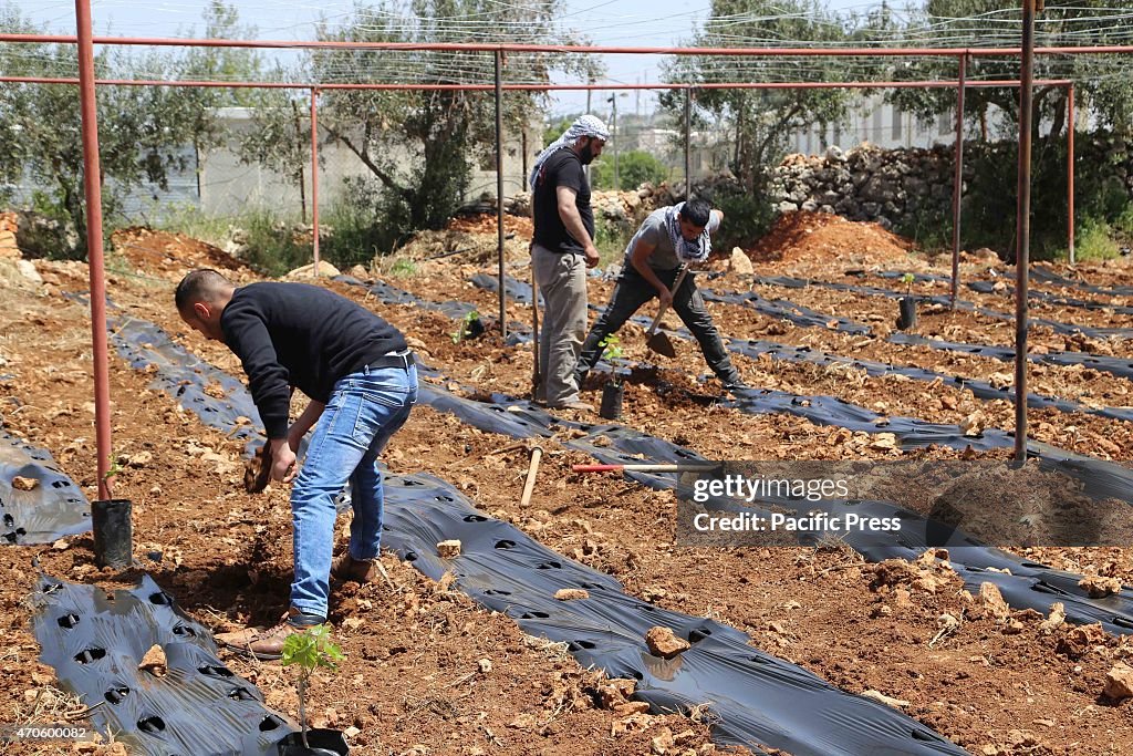 Mohamad Abdaa is a Palestinian farmer who has been trying to...