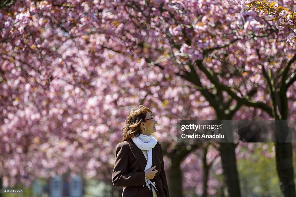 Spring in London