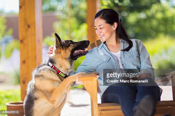 mixed race woman petting dog - german shepherd sitting stock pictures, royalty-free photos & images