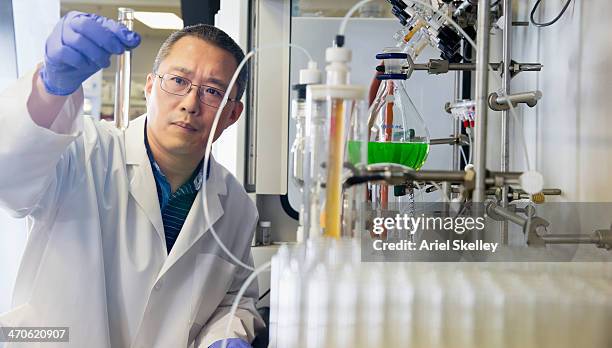 chinese scientist working in lab - tubo equipamento de laboratório - fotografias e filmes do acervo