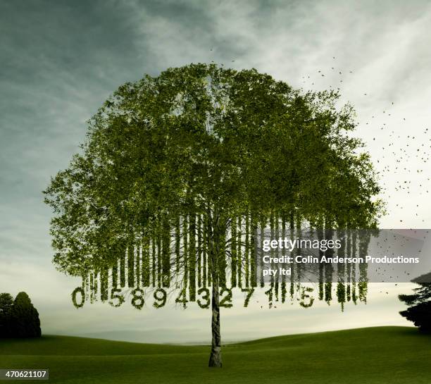 637 Tree Of Codes Stock Photos, High-Res Pictures, and Images - Getty ...