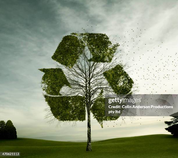 tree growing in recycling symbol shape - emissioni di co2 foto e immagini stock