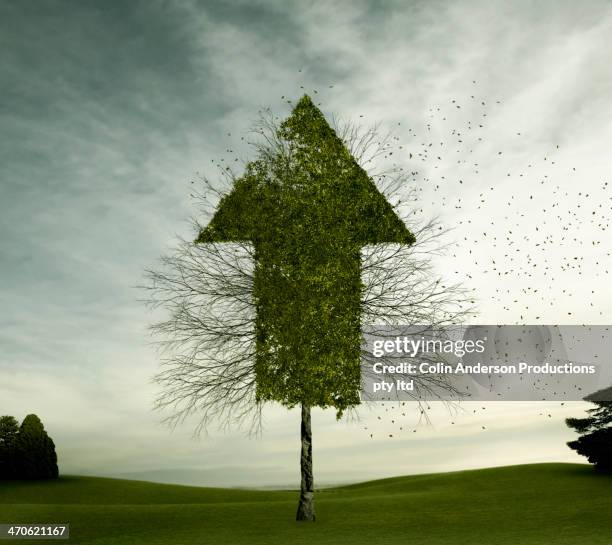 tree growing in arrow shape - financial responsibility stock pictures, royalty-free photos & images