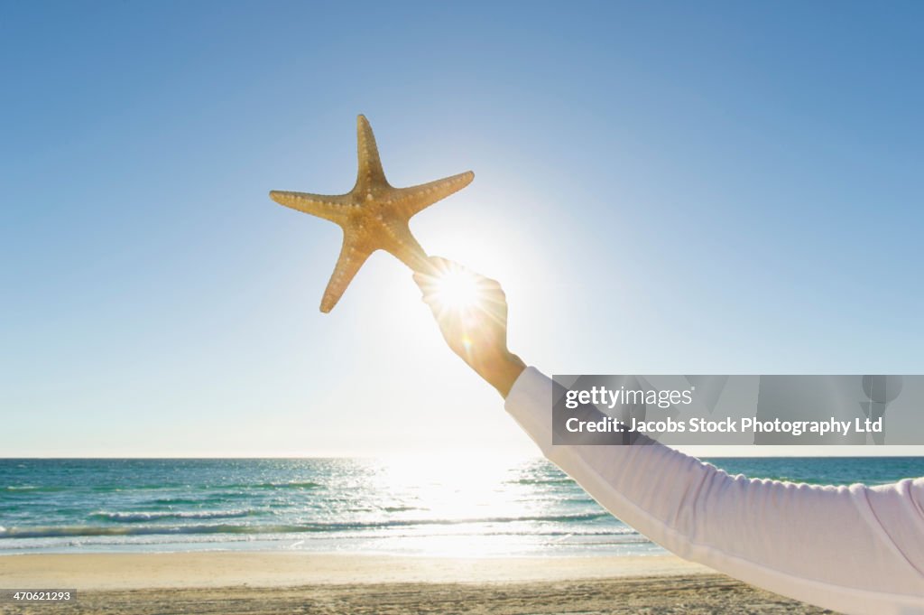 Hispanic woman holding starfish at beach