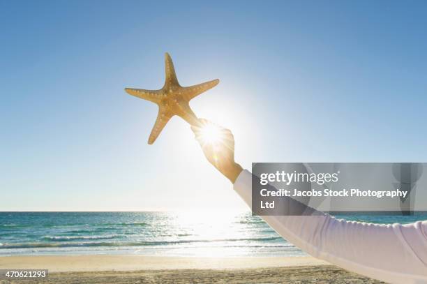 hispanic woman holding starfish at beach - beachcombing stock pictures, royalty-free photos & images