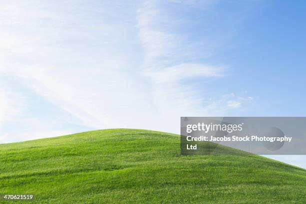 rolling green hill under blue sky - field blue sky fotografías e imágenes de stock