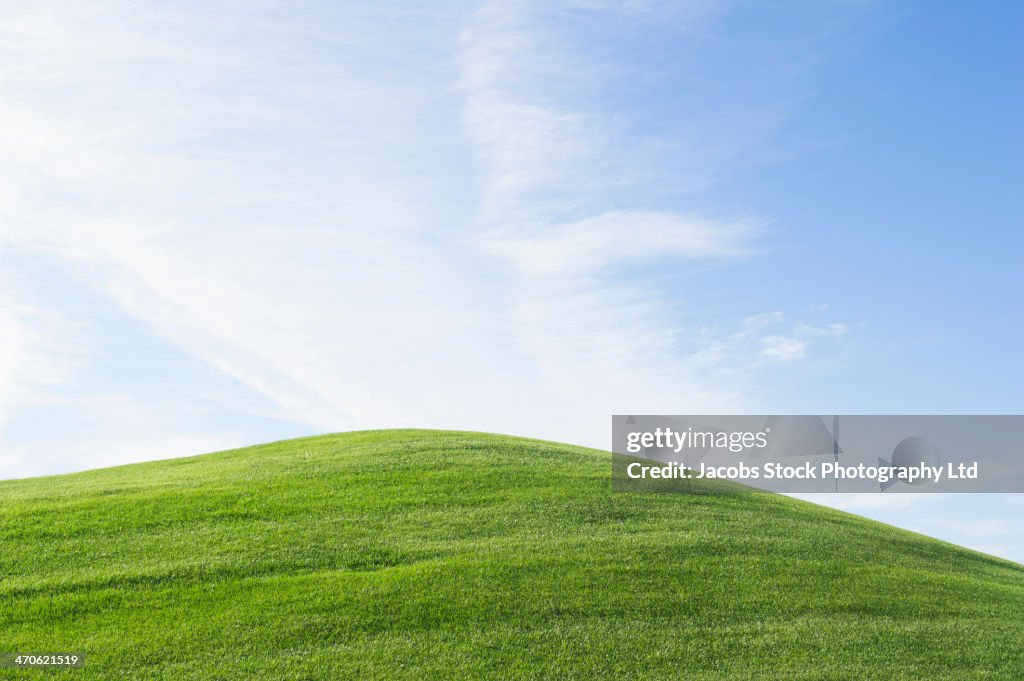 Rolling green hill under blue sky