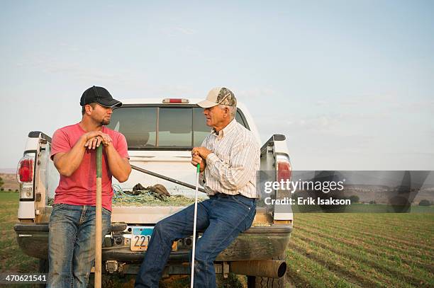 caucasian farmers working in crop field - het middenwesten van de verenigde staten stockfoto's en -beelden