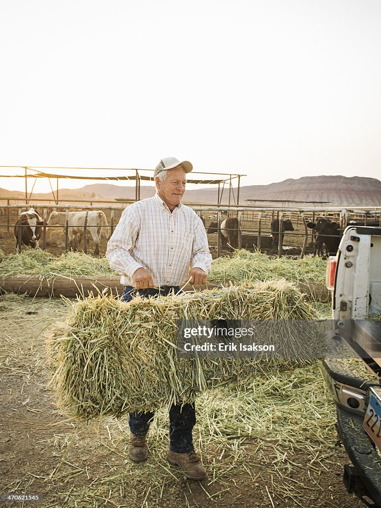 Caucasian farmer carrying hay bale