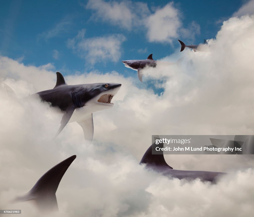 Sharks floating in clouds