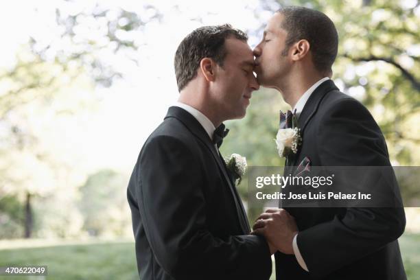 newlywed grooms kissing - homohuwelijk stockfoto's en -beelden