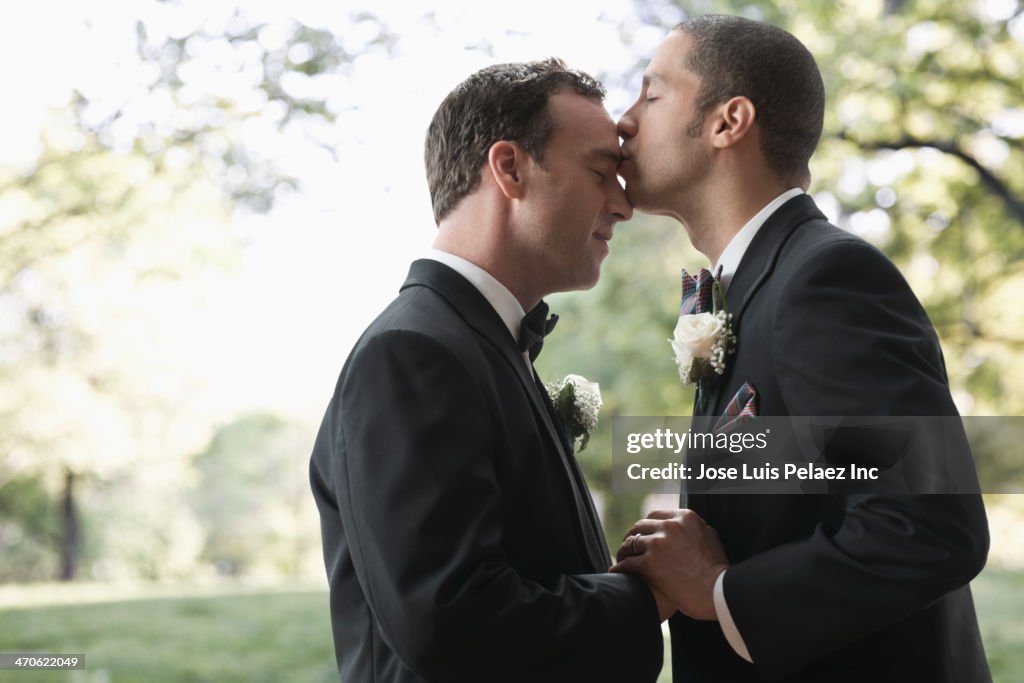 Newlywed grooms kissing