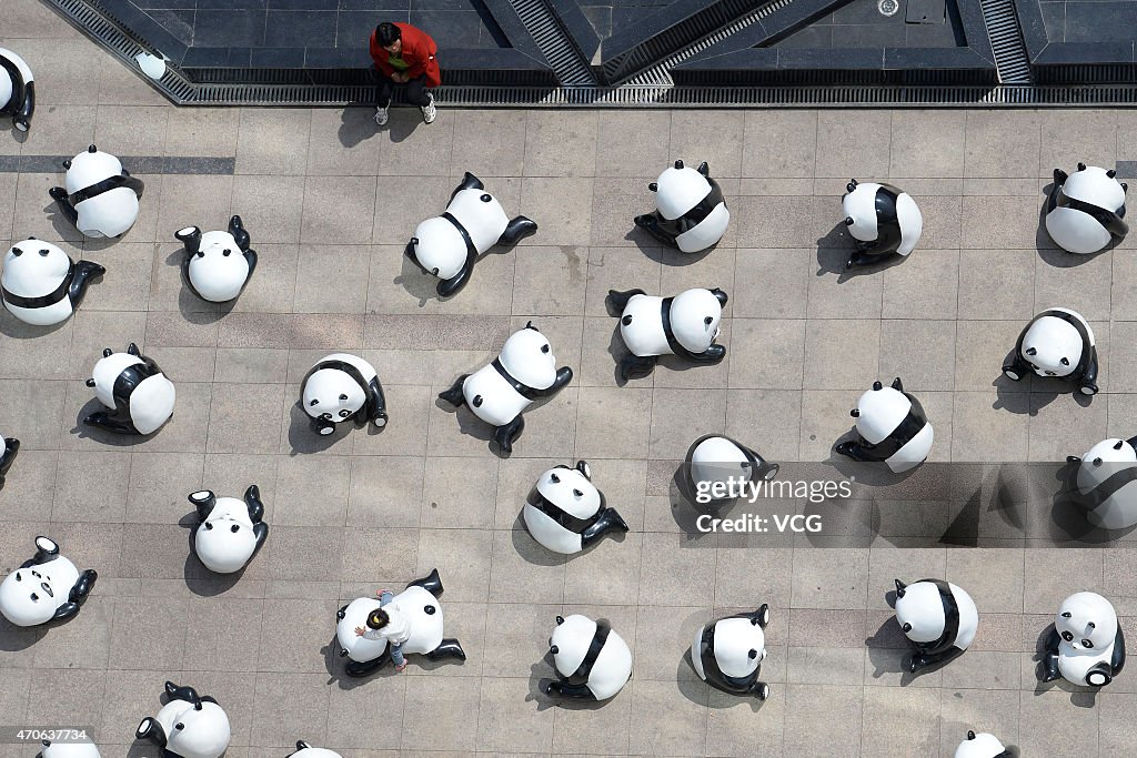 Over 200 Panda Sculptures Call For Environmental Protection