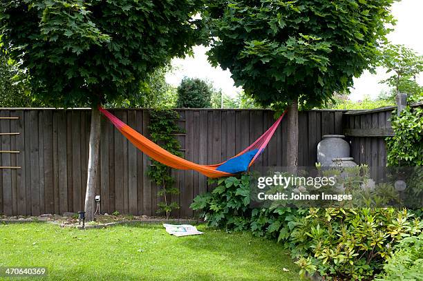 hammock hanging in garden - trädgård hängmatta bildbanksfoton och bilder