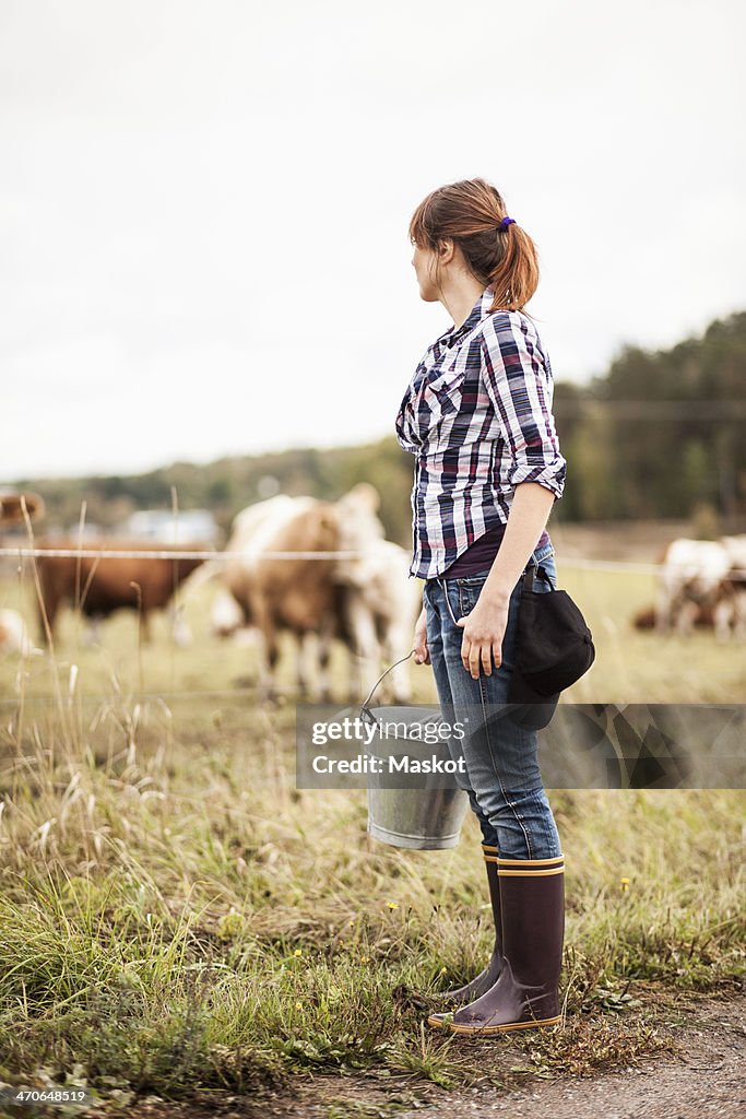 Female farmer with bucket standing on field with animals grazing in background