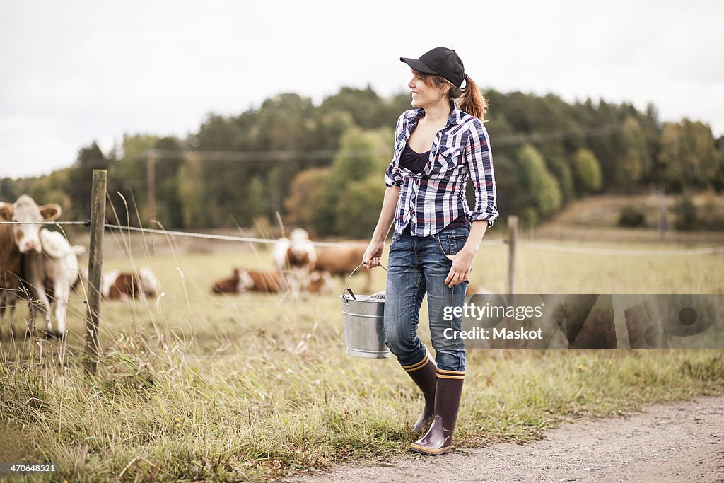 Female farmer with bucket walking while animals grazing in field