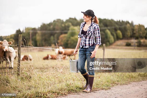 female farmer with bucket walking while animals grazing in field - vrouwtjesdier stockfoto's en -beelden
