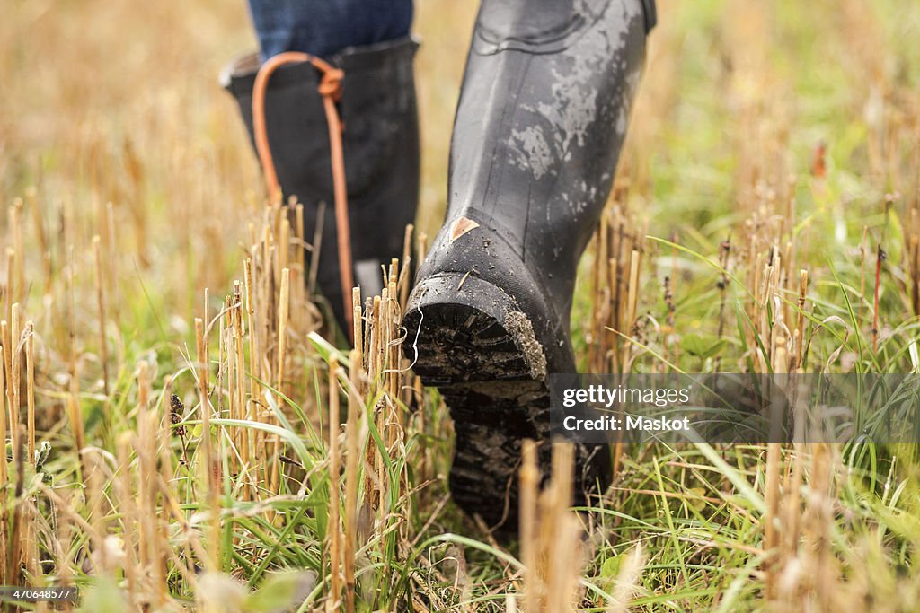 Low section of farmer walking in field