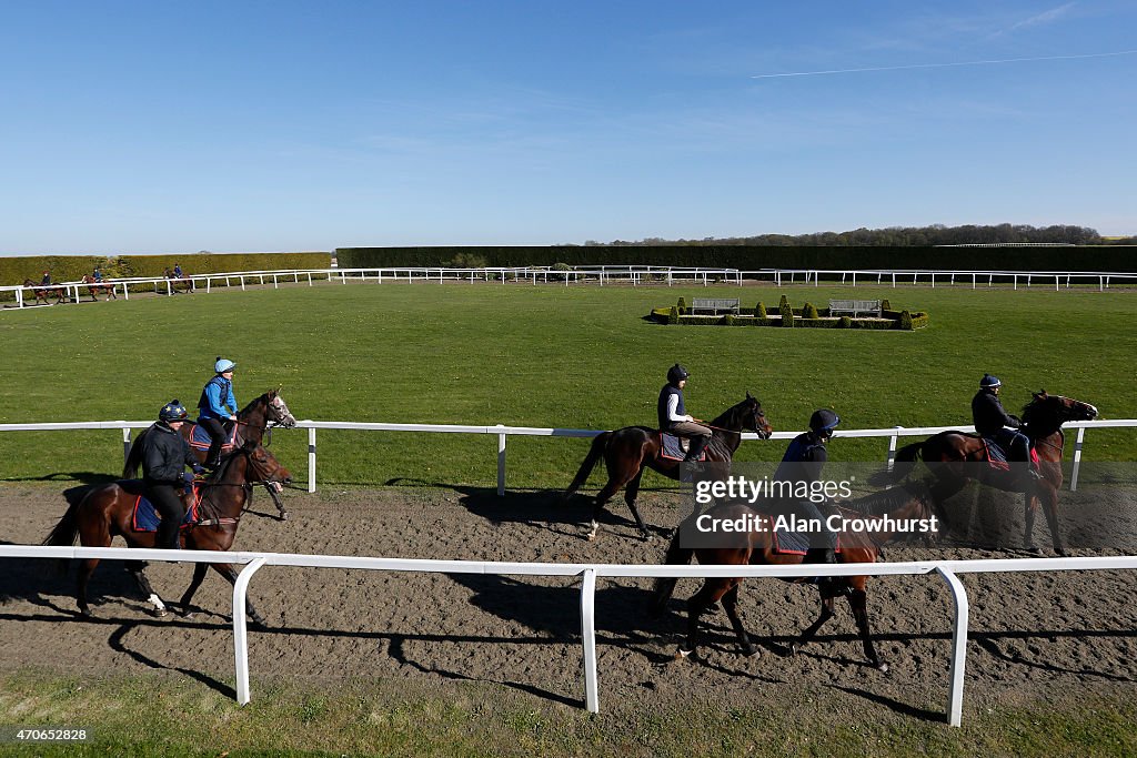 Richard Hannon Stable Visit