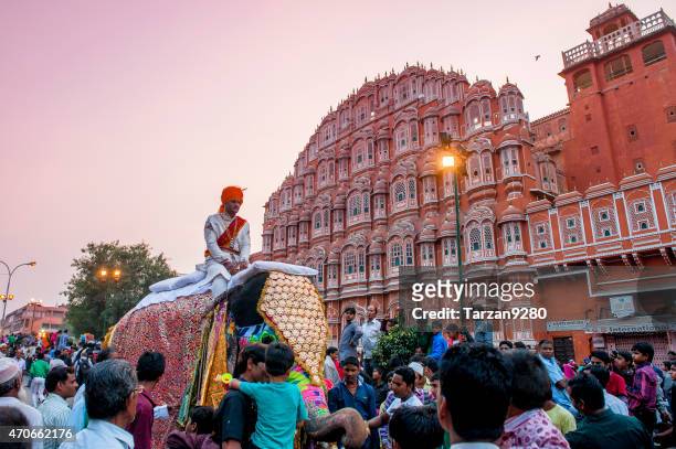 fully dressed elephant parading in front of hawa mahal, india - jaipur stockfoto's en -beelden