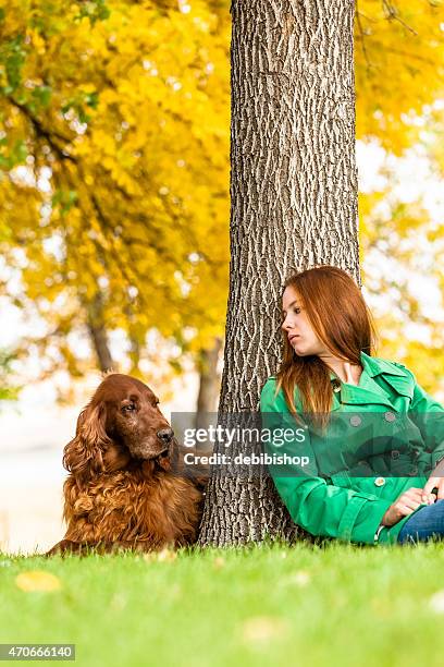 frau & haustier hund sitzen und entspannen sie zusammen im freien - irischer setter stock-fotos und bilder