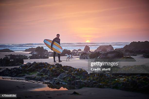 mature surfer leaving the surf at sunset greeted by dog - cornwall engeland stockfoto's en -beelden