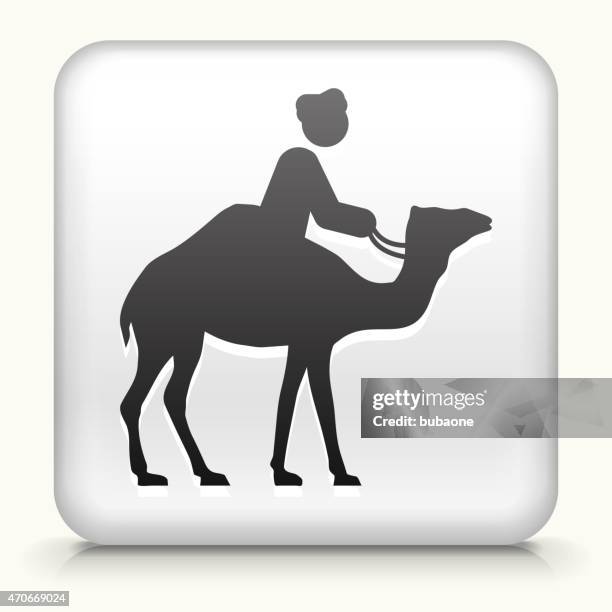 white square button with camel rider icon - riding camel stock illustrations