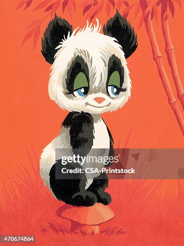 Panda bear Panda bear