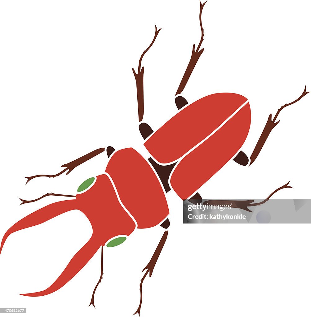 Red beetle
