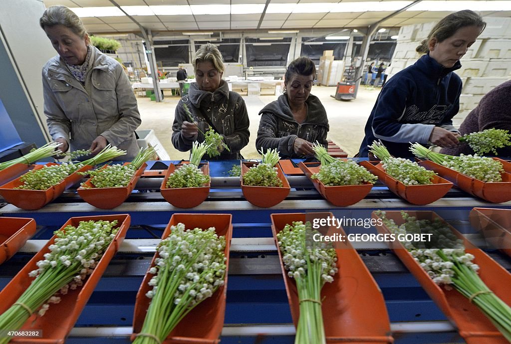 FRANCE-AGRICULTURE-FLOWERS-LILY