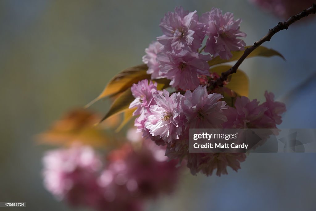 Spring Is In Full Swing In Bristol