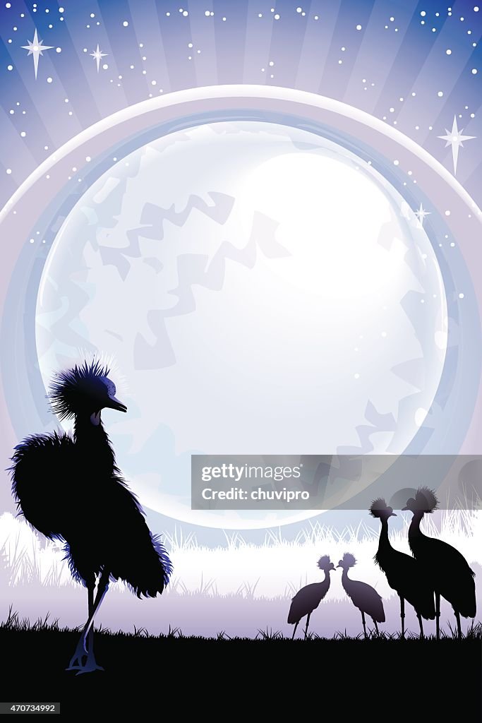 Crowned Cranes silhouettes at night with full moon