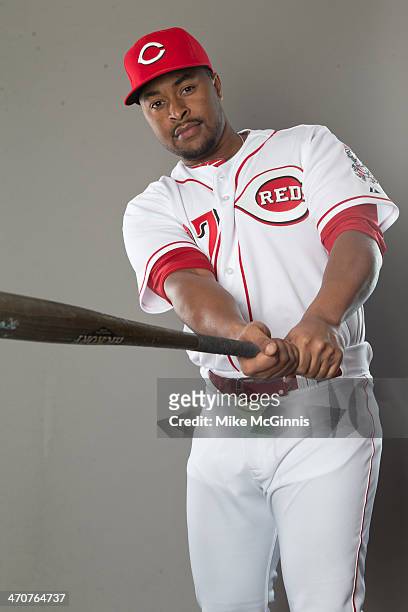 Chris Nelson of the Cincinnati Reds poses for a picture during picture day on February 20, 2014 in Goodyear Park, Arizona.