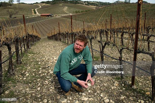 Jason Haas, partner and general manager of Tablas Creek Vineyard, sits for a photograph on his vineyard near Paso Robles, California, U.S., on...