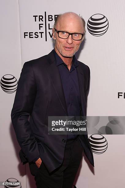 Actor Ed Harris attends the premiere of "The Adderall Diaries" at the 2015 Tribeca Film Festival at BMCC Tribeca PAC on April 16, 2015 in New York...