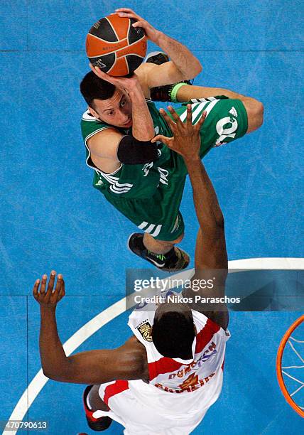 Roko Ukic, #10 of Panathinaikos Athens in action during the 2013-2014 Turkish Airlines Euroleague Top 16 Date 7 game between Panathinaikos Athens v...