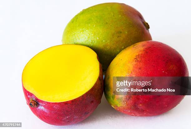 Realistic approach to tropical fruits: three imperfect ripe mangos over white background not isolated.