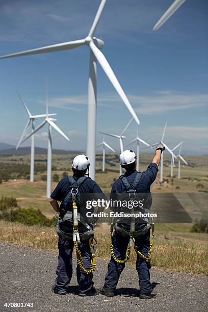 mirando turbinas eólicas - wind farm australia fotografías e imágenes de stock