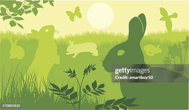 easter rabbits - daffodil stock illustrations