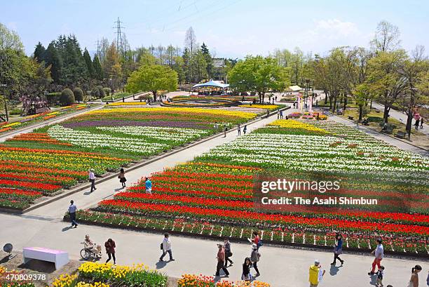 248 Tonami Stock Photos, High-Res Pictures, and Images - Getty Images